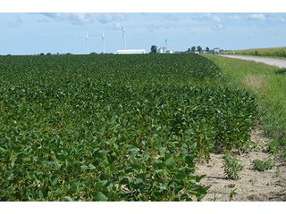 Property photo 5 - 233 +/- Acres Offered in 3 Tracts, Ohio Land Auction